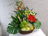Fruit & Flower FR172
