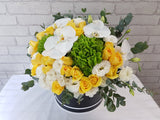 Yellow Rose & Phalaenopsis Box - BK973