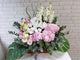pure seed bk041 + Hydrangeas +  Matthiolas +Eustomas + Phalaenopsis Orchids + basket arrangement