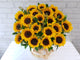 pure seed bk046 20 sunflowers flower box