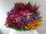 Majestic Orchid & Hydrangeas Flower Basket - BK050
