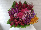 Majestic Orchid & Hydrangeas Flower Basket - BK050