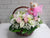 pure seed nb040 +  Roses, 15 Eustoma + musical soft toy + new born arrangement