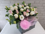 Fruit & Flower - FR176