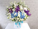 pure seed bk066 + Hydrangeas, Orchids, Eustomas and Matthiolas + flower basket
