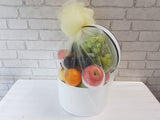 Succulent Fruit - FR145
