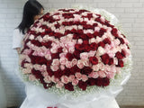 Unlimited Love 300 Roses - BK002