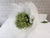 pureseed bq768 + Chamomile + hand bouquet