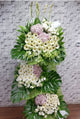 pureseed sy187 + Hydrangeas, Gerberas, Eustomas, Orchids and Tuberose + sympathy stand