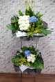 pureseed sy190 + Hydrangeas, Orchids, Chrysanthemums and Tuberoses + sympathy stand