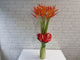 pureseed vs098 + Heliconia , anthurium + vase arrangement