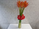 Heliconia & Anthurium Vase - VS098