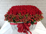 Signify Happy 100 Rose - BK689