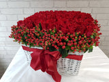 Signify Happy 100 Rose - BK689