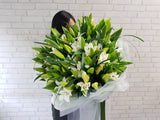 Lily Grandeur - BQ774