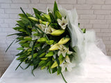 Lily Grandeur - BQ774