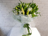 Lily Grandeur - BQ774