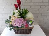 Fruit & Flower - FR180