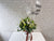 Balloon & Lily Floral Box - BN111