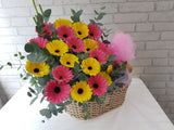 Fruit & Flower - FR187