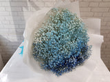 Hand Bouquet - BQ791
