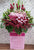 pureseed op221 +  Gerberas, Chrysanthemum and Tuberose  + opening stand