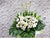 Purity Condolences Flower Stand - SY208