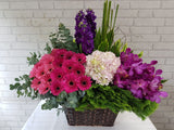 Orchid & Matthiola Flower Basket - BK141