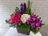 Orchid & Matthiola Flower Basket - BK141