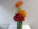 pureseed vs117 + Orchids, Anthurium, Heliconia and Red Ginger flower + vase arrangement