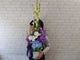 Stunning Phalaenopsis  & Hydrangeas Vase - VS121