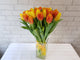 Vibrant Tulip in Vase- VS106