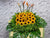 Magnificent Sunflower Opening Stand Flower - OP119