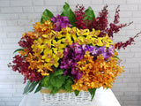 Vivid Orchid Flower Basket - BK901