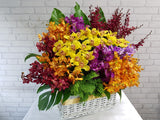 Vivid Orchid Flower Basket - BK901