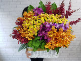 Vivid Orchid Flower Basket - BK901