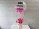 pure seed bk838 pink hued gerberas with helium balloon & customized wording flower box