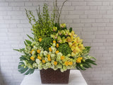 Mix Bright Rose Flower Basket - BK849