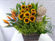 pure seed bk242 sunflowers + bird of paradise + feathery leaves with woven circular ornaments flower basket