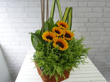 Cheerful Sunflower Basket - BK352