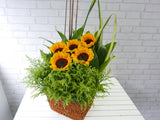 Cheerful Sunflower Basket - BK352