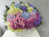 Sumptuous  Colorful Hydrangea Basket - BK519