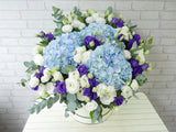 Velvet Eustoma & Hydrangea Flower Box - BK647