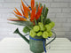 Bird Of Paradise Watering Can - BK650