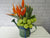 Bird Of Paradise Watering Can - BK650