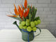 Bird Of Paradise Watering Can - BK650