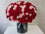 Enduring Love 99 Rose - BK799
