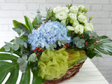 Fruit & Flower - FR050