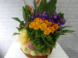 Fruit & Flower  - FR089