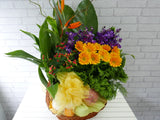 Fruit & Flower  - FR089